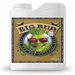 Big Bud COCO 1L