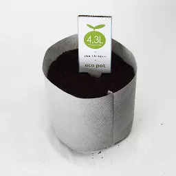 ECO POT 18cm (4.3L)