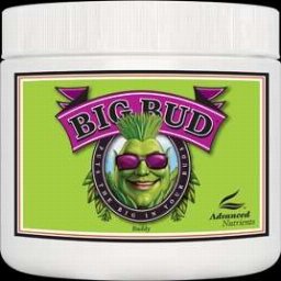 Big Bud Powder 1kg