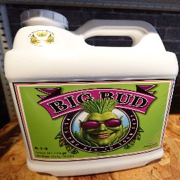 Big Bud liquid 10L