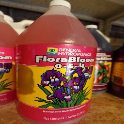 Flora Bloom 3.78L