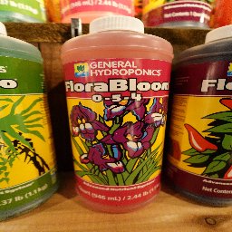 Flora Bloom 946ml