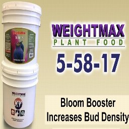 Weight Max 5-58-17 5kg