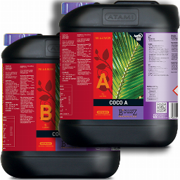 B'CUZZ COCO A/B 5L