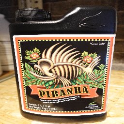 Piranha 1L