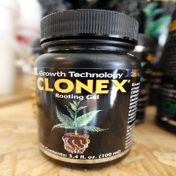 Clonex Rooting Gel 100ml