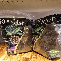 Root Riot スタータープラグ 100P