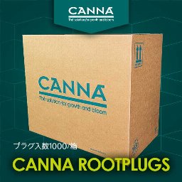 CANNA Rootplugs 1000個入り箱