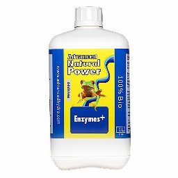 Enzymes+ 1L