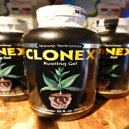Clonex Rooting Gel 946ml